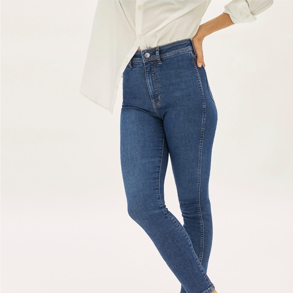 Everlane The Way-High Skinny Jean | Size 29